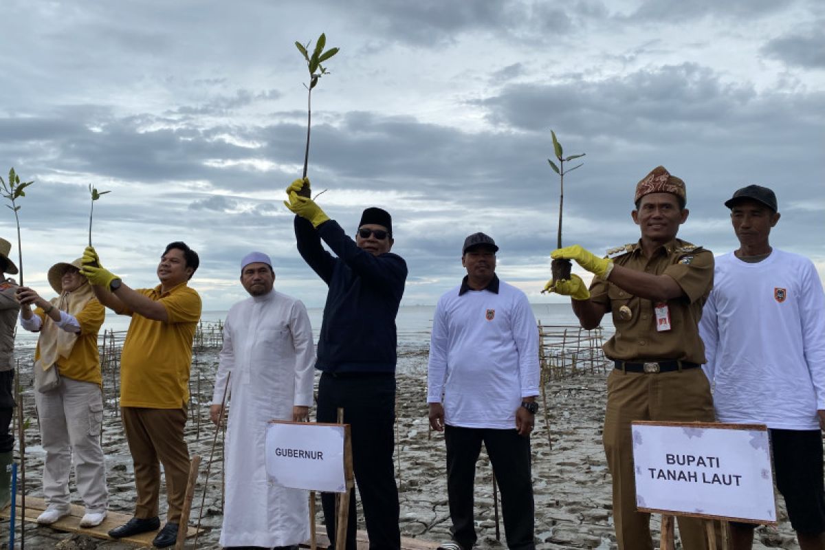 Pemprov Kalsel tanam 7.000 mangrove peringati Hari Lingkungan Hidup