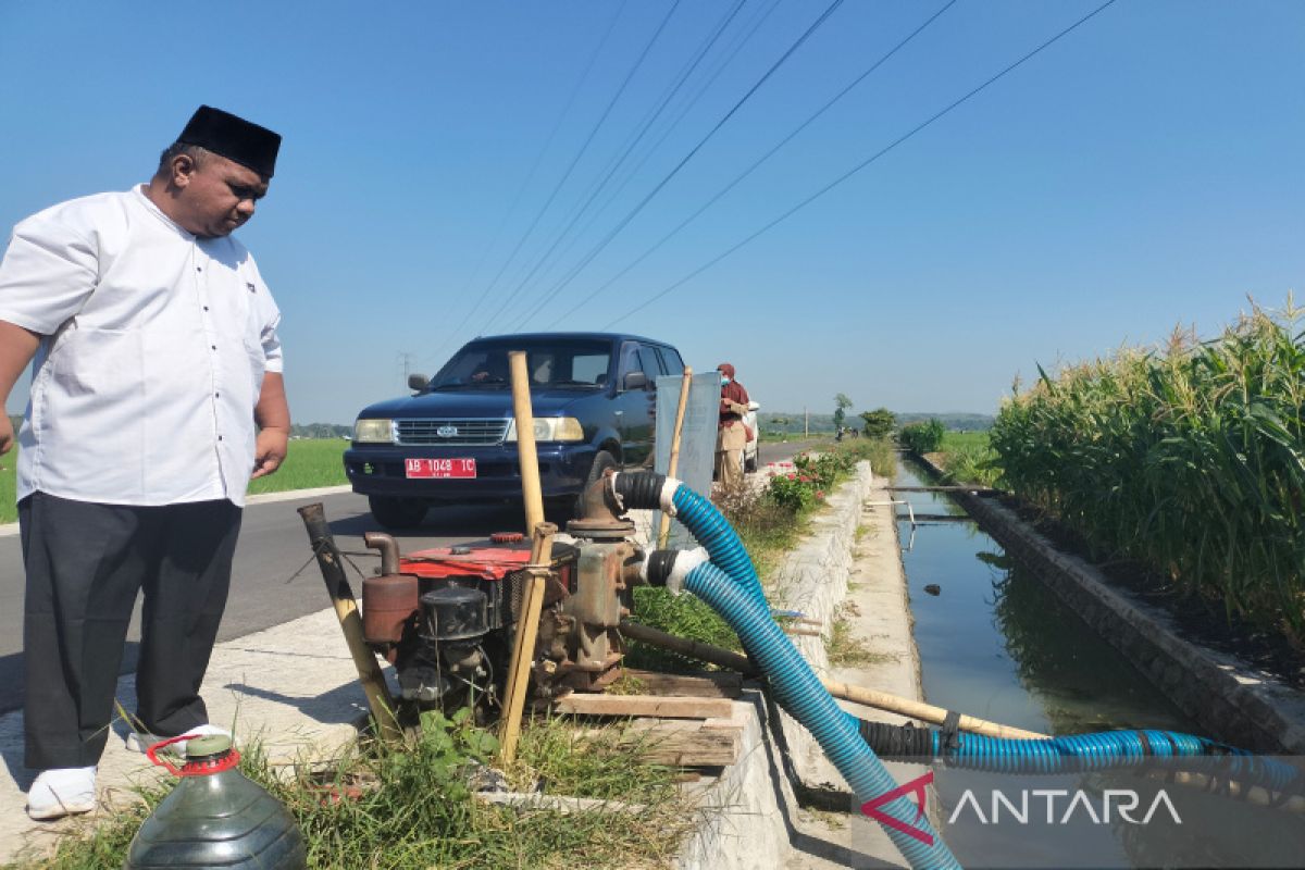 Kulon Progo galakkan konsumsi pangan lokal