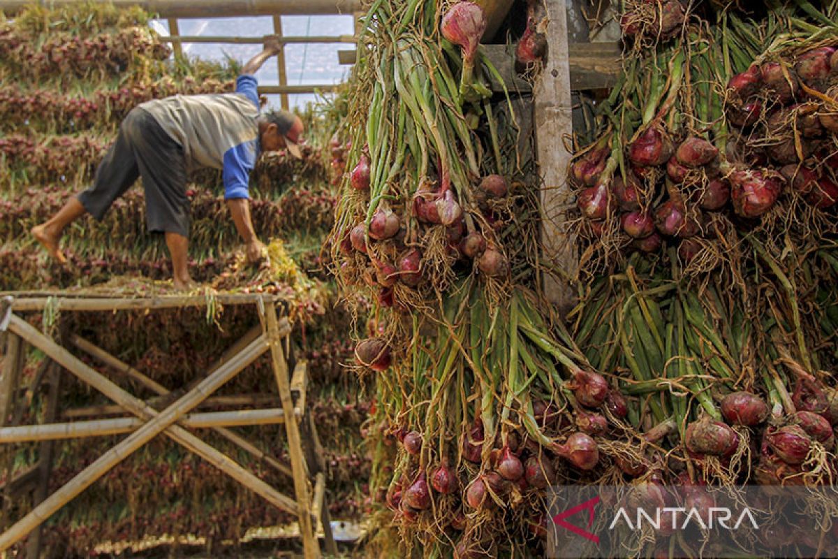 Kenaikan harga bawang merah beri andil inflasi Kota Malang