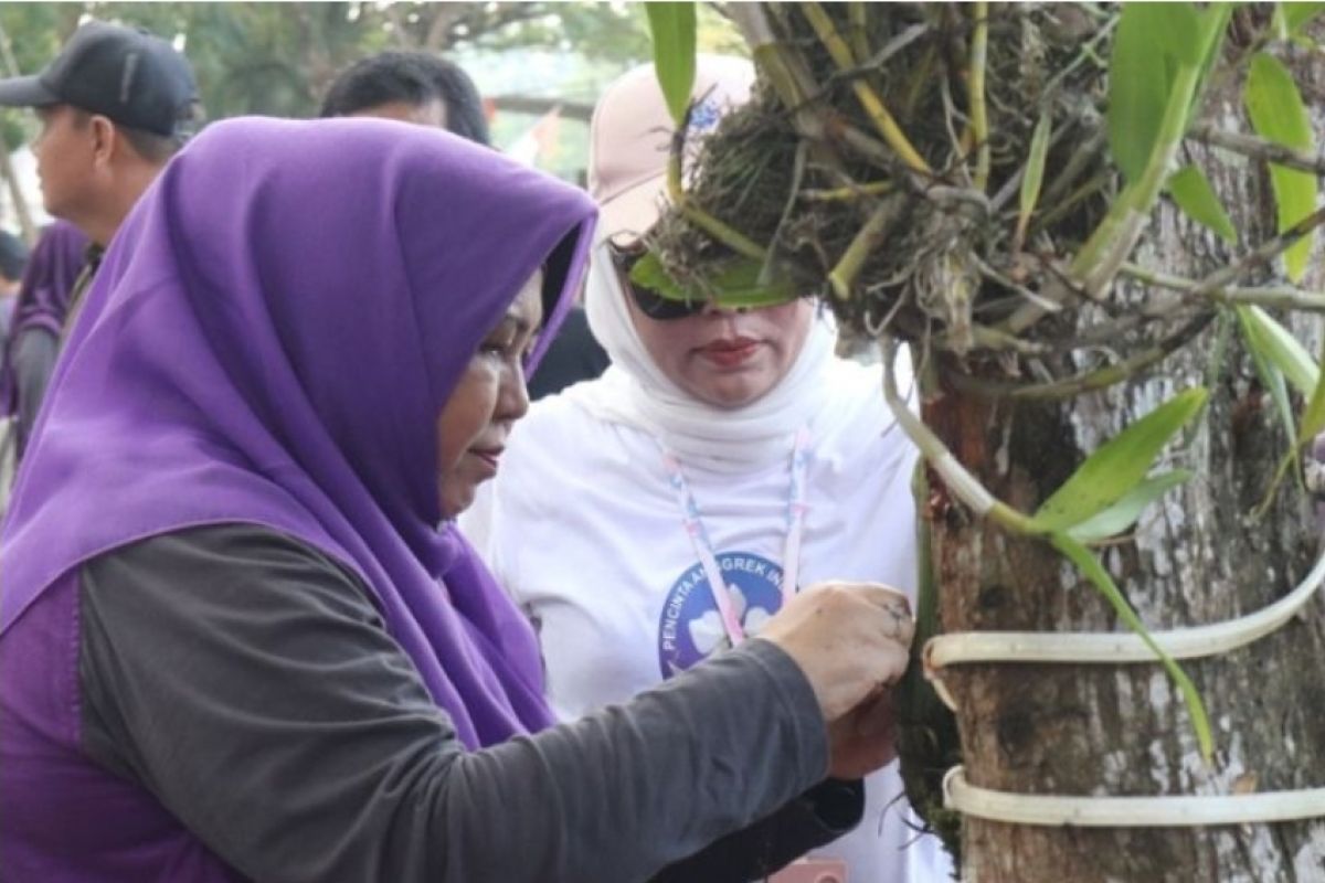 Komunitas harapkan Anggrek Bulan Pelaihari dijaga dari kepunahan