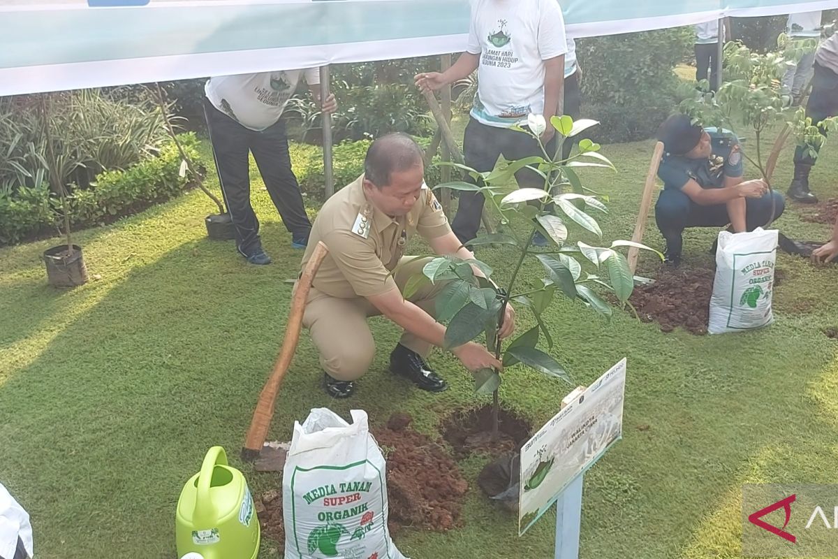 Wali Kota Jakut minta sektor usaha dukung program penghijauan