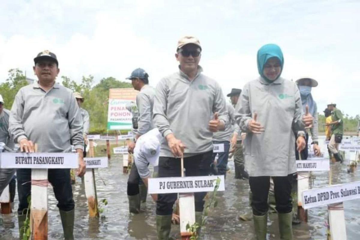 Pemprov Sulbar menanam 85 ribu pohon di Pasangkayu