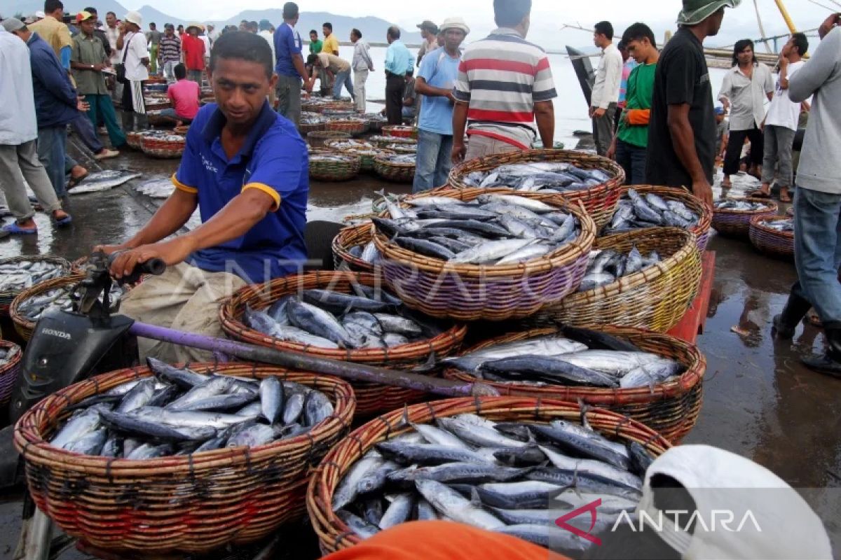 BPS: Ikan tongkol dominan penyumbang inflasi Aceh pada Mei 2023