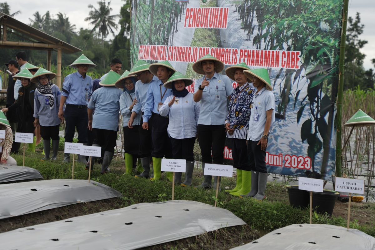 Petani milenial Caturharjo diharapkan perkuat ketahanan pangan