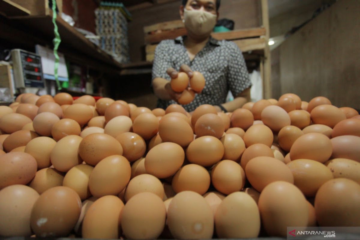 BI sebut kenaikan harga telur ayam ras katrol inflasi di DIY