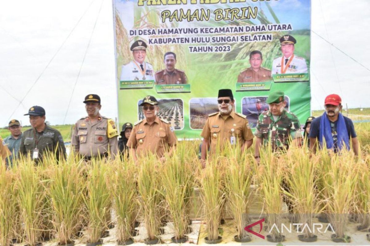 Pemprov Kalsel lanjutkan uji coba teknologi padi apung di kabupaten/kota