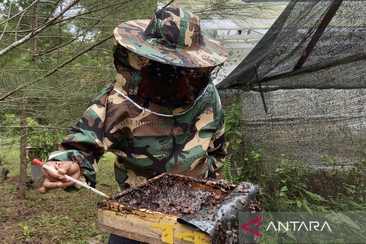 SIG budi daya lebah trigona di lahan reklamasi pascatambang Baturaja