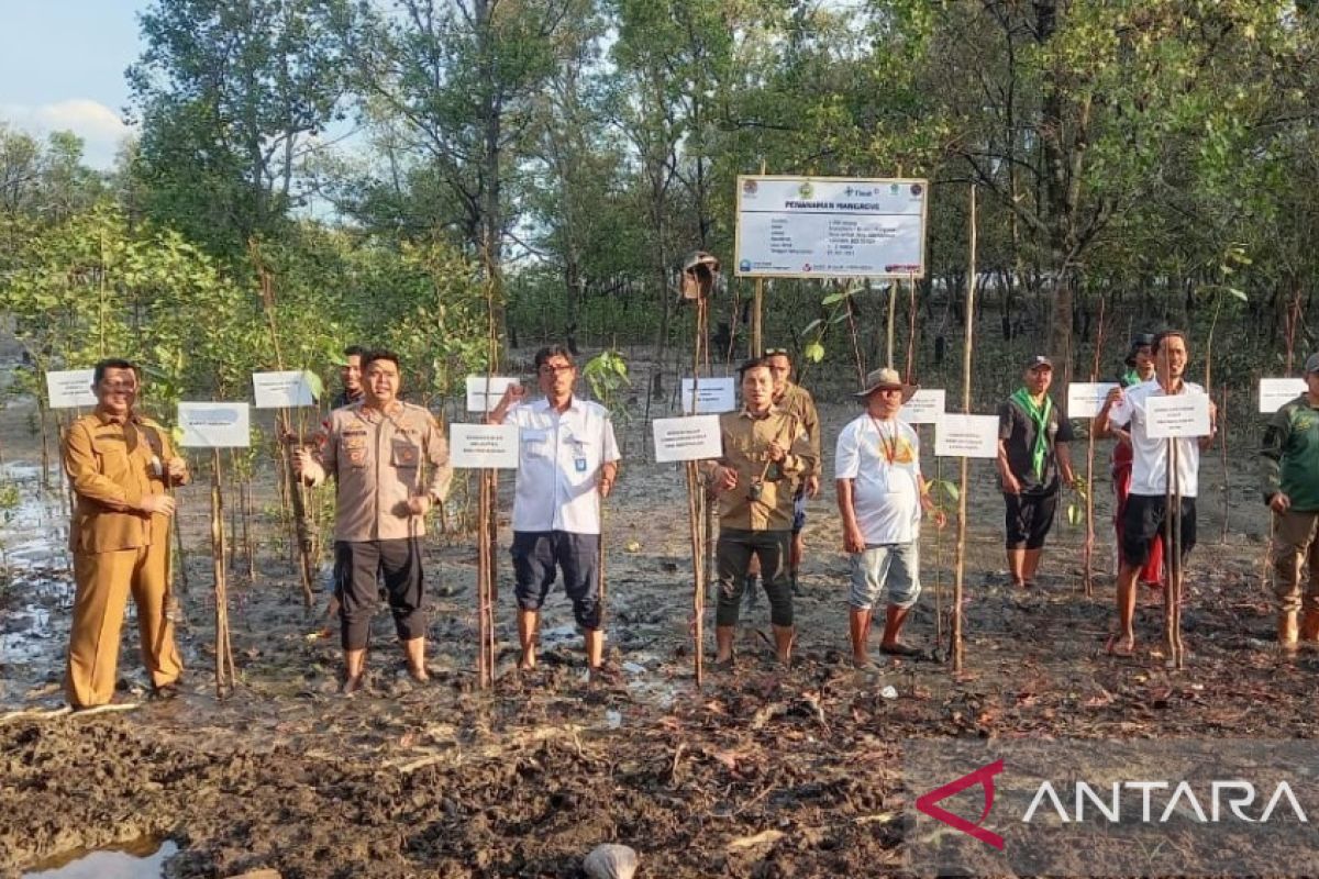 PT Timah-FPKL menanam 1.000 mangrove di Pantai Ambat Kaya