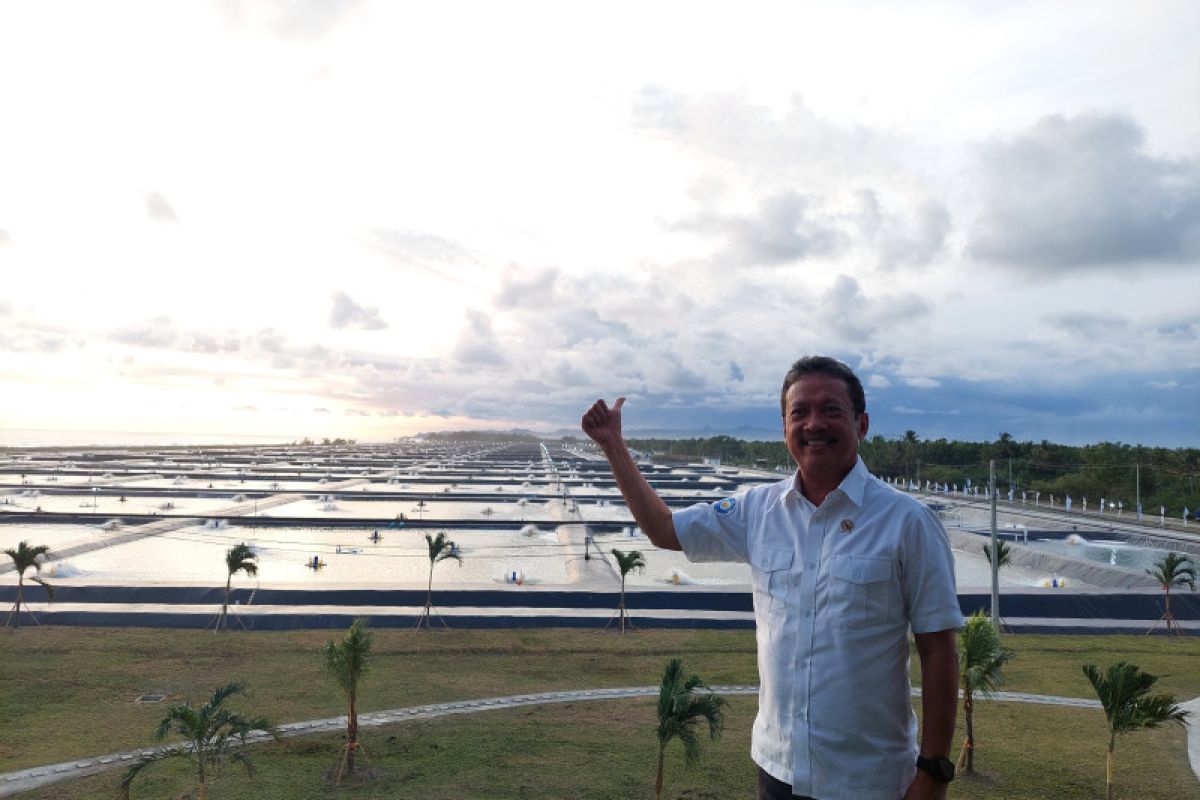 KKP mulai proyek tambak udang terintegrasi di Sumba Timur
