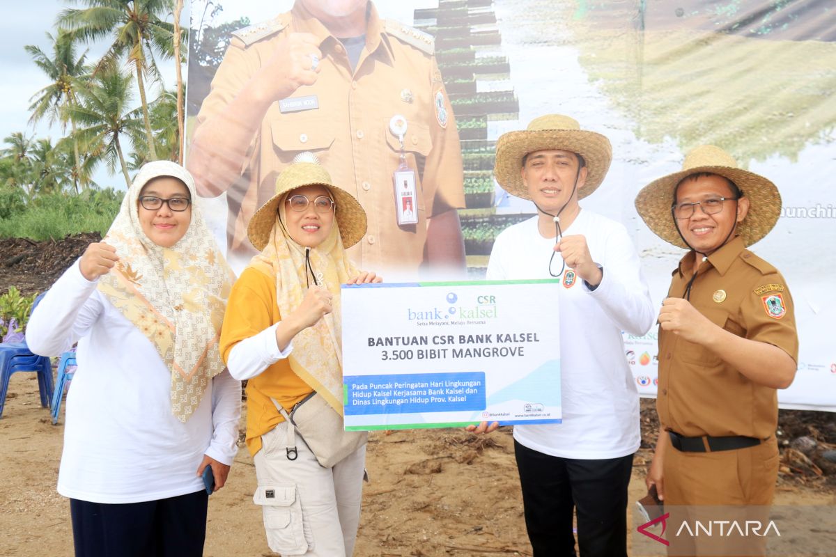 Bank Kalsel serahkan 3.500 bibit mangrove, bentuk peduli terhadap lingkungan.