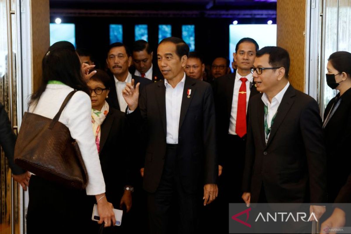 Jokowi: Investasi dan keberlanjutan IKN aman siapa pun presidennya