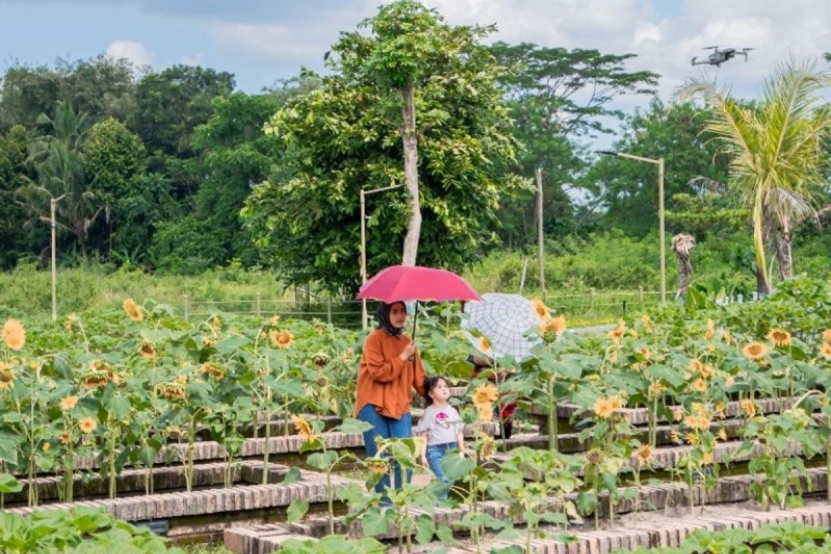 Destinasi wisata Obelix Village bisa jadi sarana edukasi