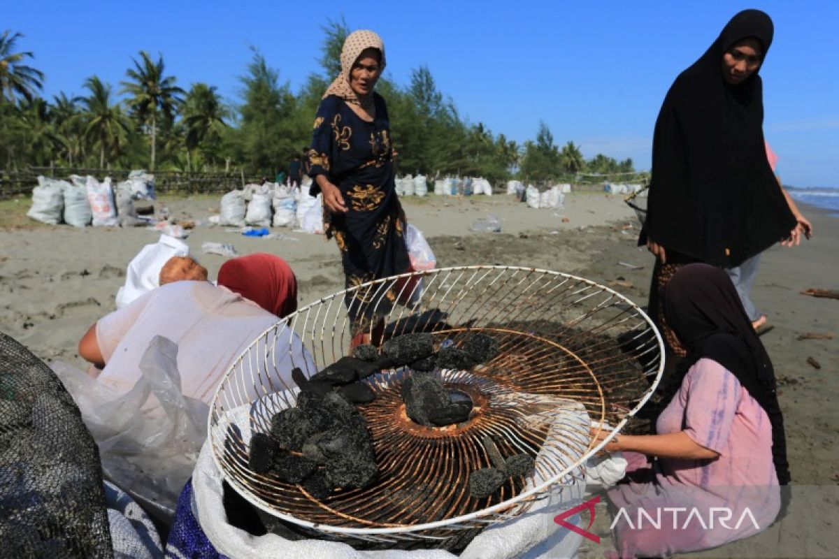 ICEL: Tumpahan batu bara di laut Aceh Barat berbahaya bagi lingkungan