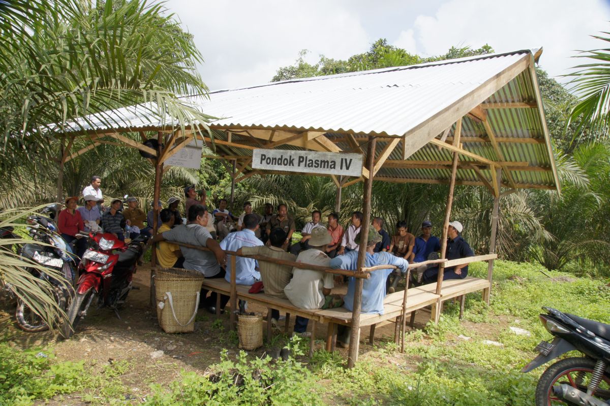 SAMADE: PalmCo bakal untungkan masyarakat dan Industri sawit nasional