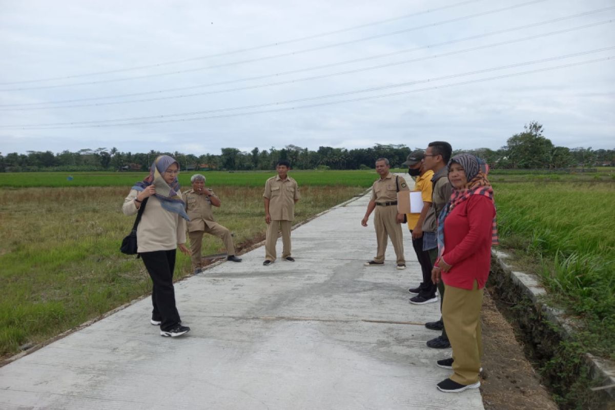 Kulon Progo bangun jalan usaha tani di tujuh titik