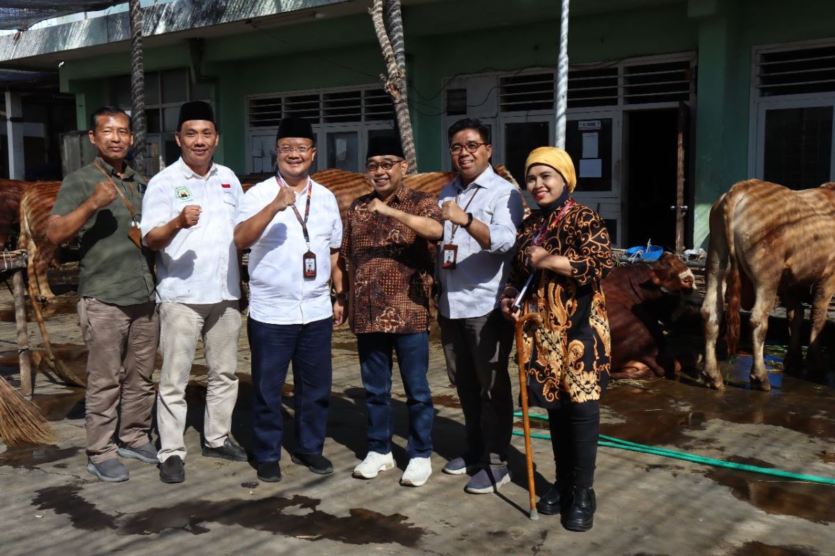 RPH-DMI Surabaya bantu takmir masjid dapatkan hewan kurban terbaik