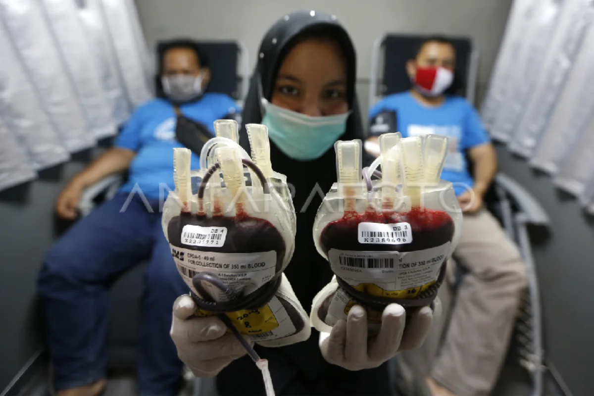 PMI Banda Aceh: Darah yang kami distribusikan bebas HIV