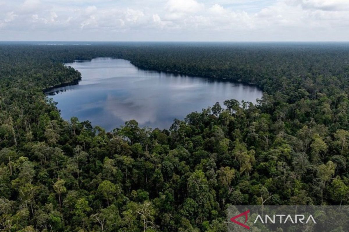 Komitmen APRIL Group dalam upaya konservasi dan restorasi