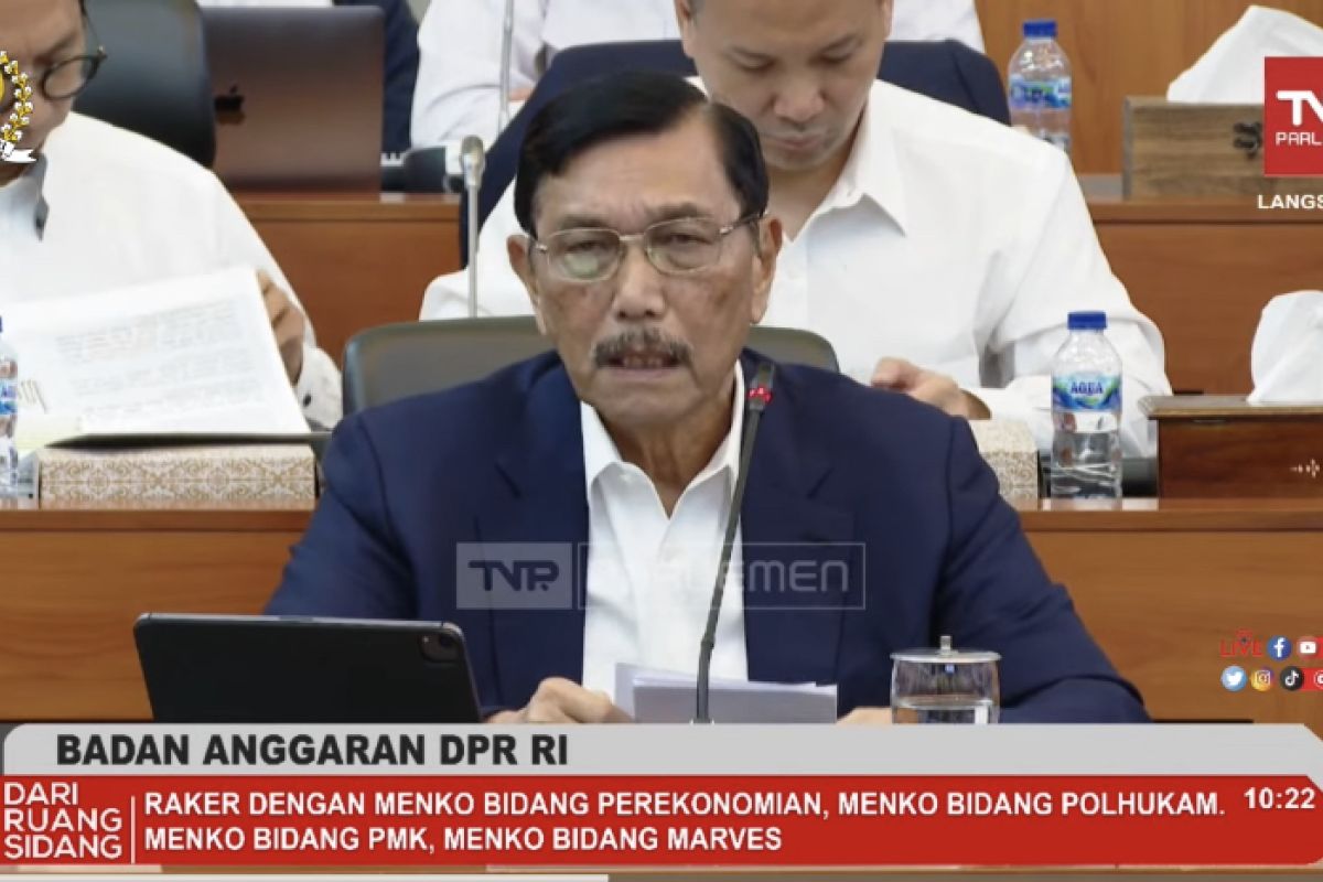 Luhut mengaku terpaksa pakai 