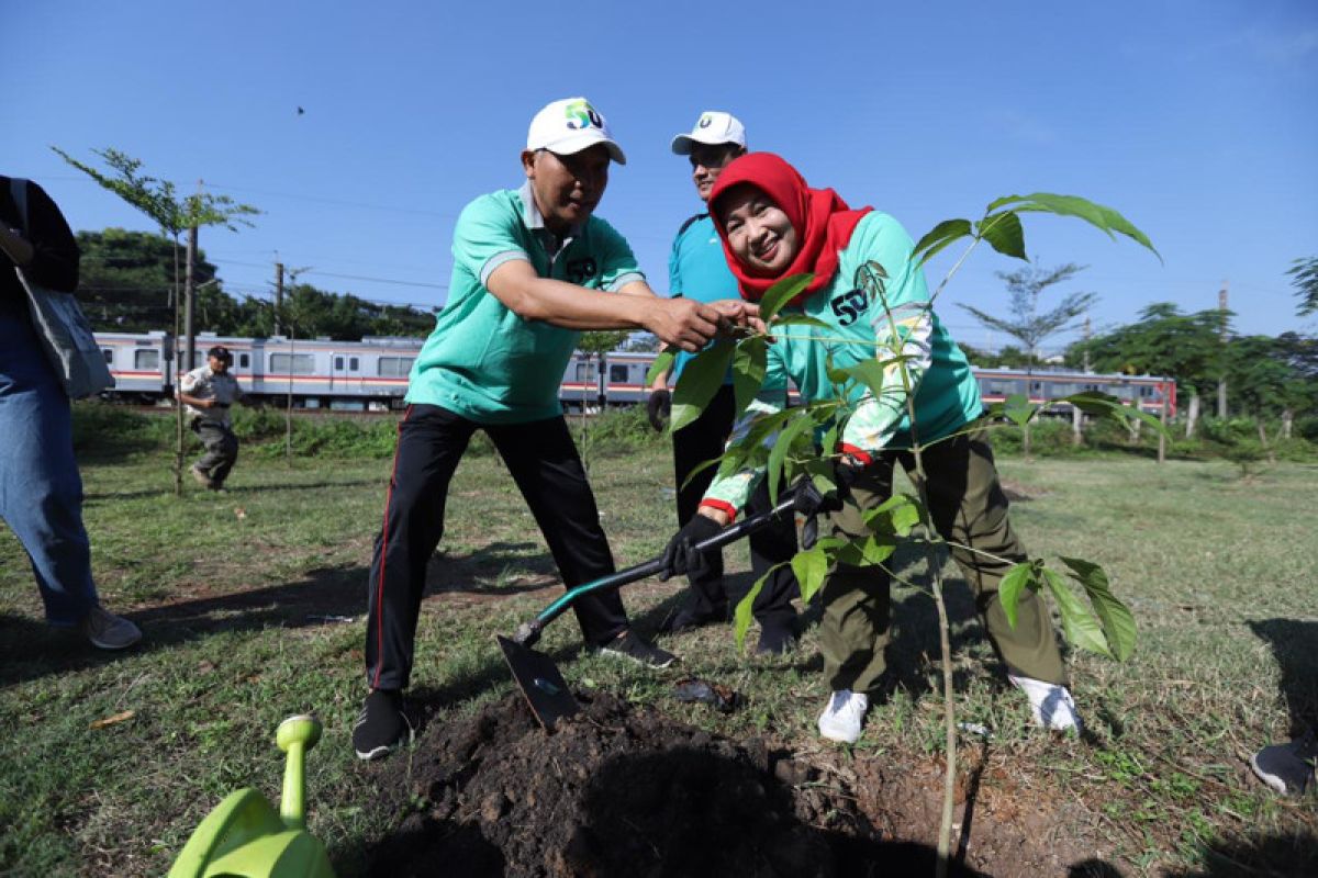 Pemprov DKI ajak BUMD tanam pohon untuk cegah pemanasan global