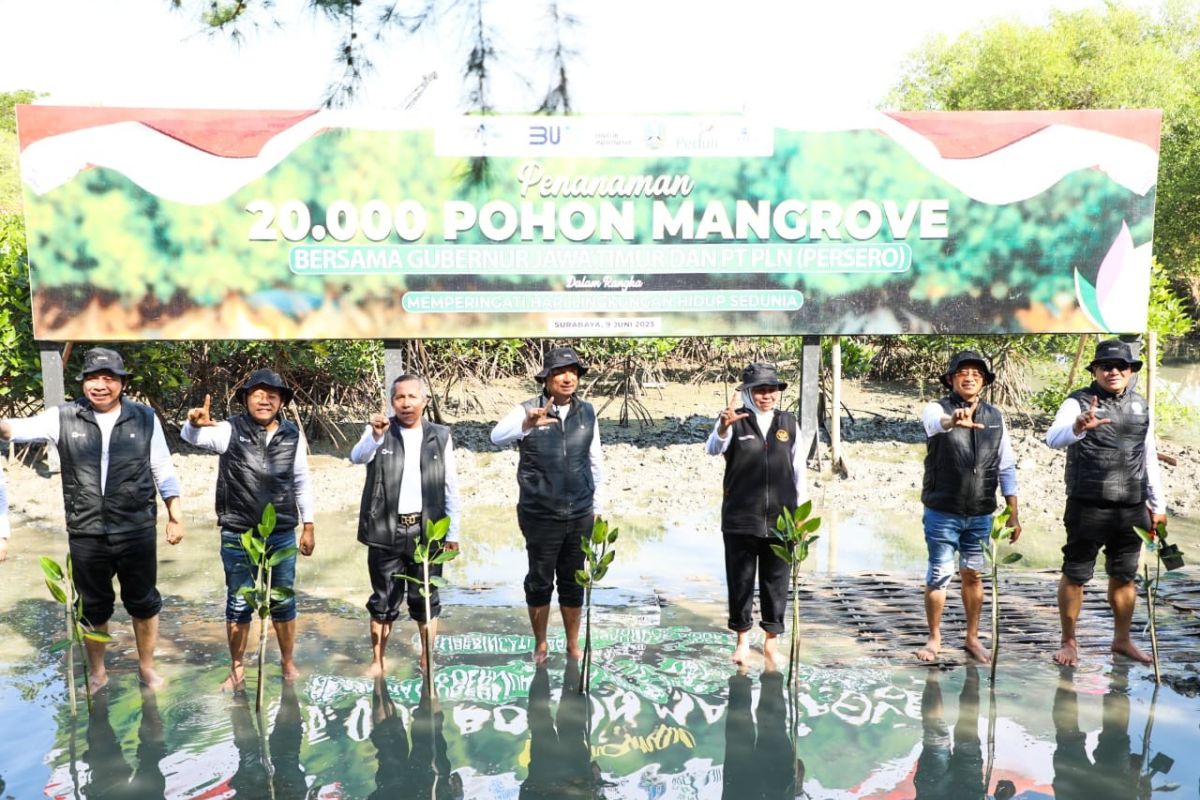 Khofifah: Penanaman 20 ribu mangrove upaya jaga kelestarian alam