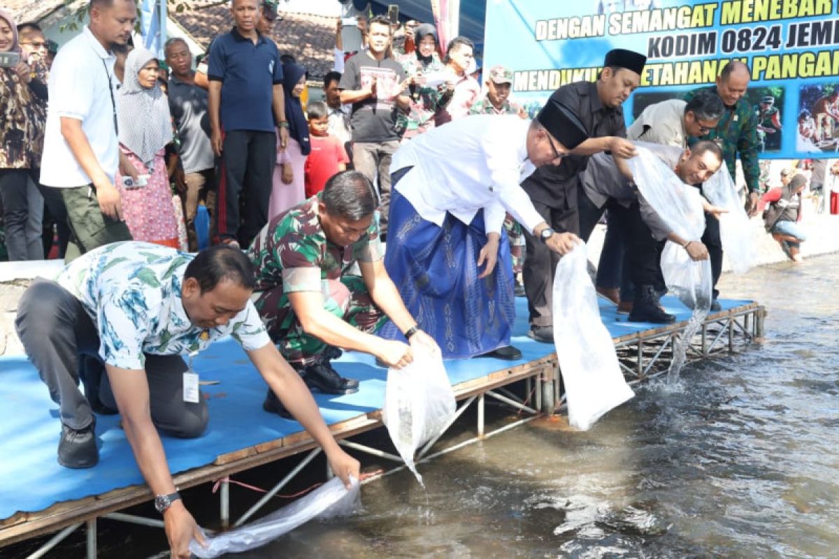 Ribuan benih ikan ditebar untuk pulihkan ekosistem sungai di Jember