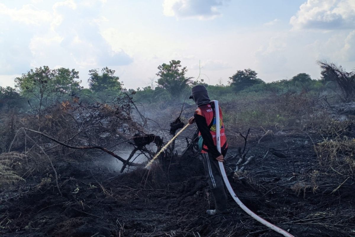 BPBD Palangka Raya padamkan 21,07 hektare kebakaran lahan gambut