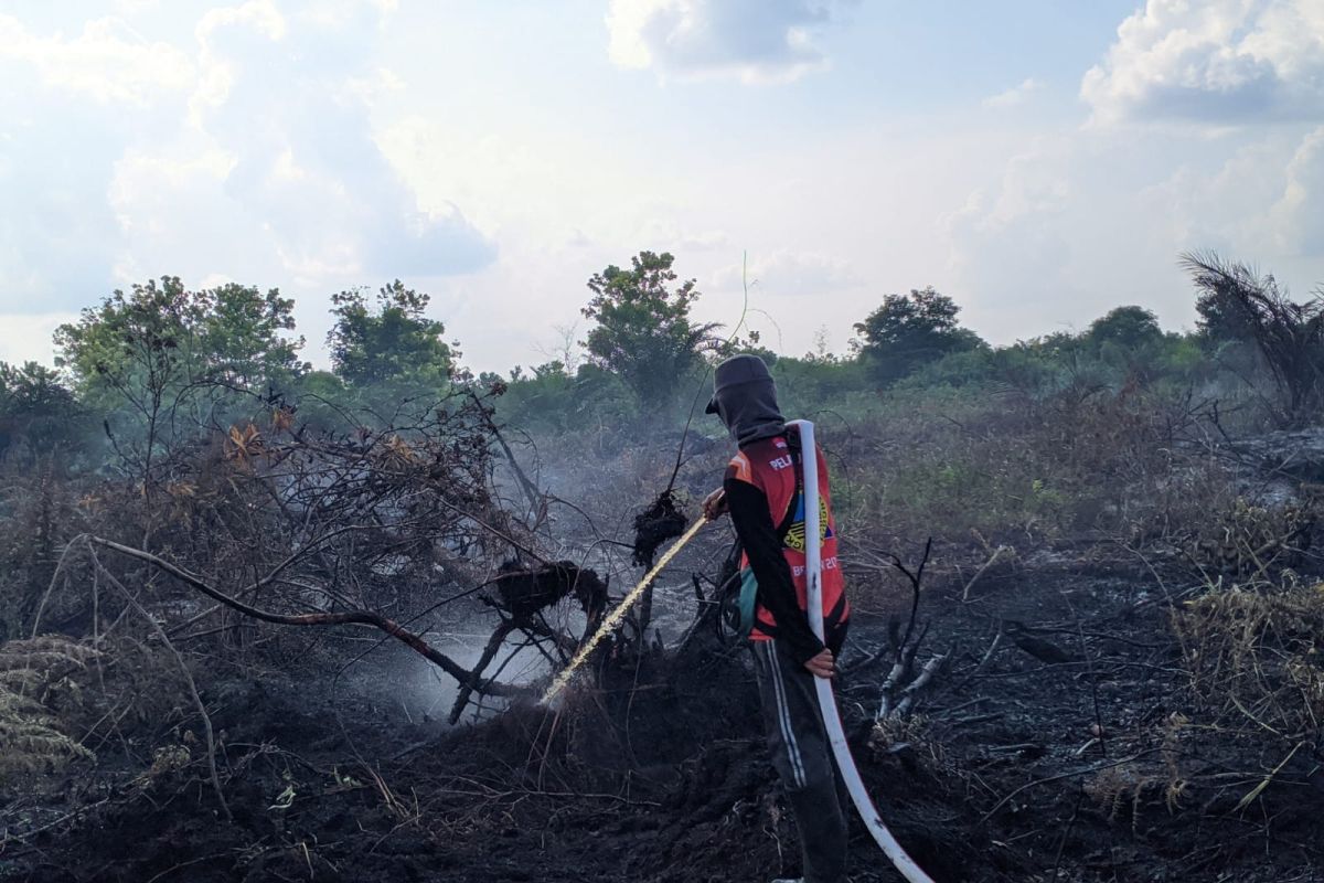 BPBD Palangka Raya catat 21 hektare lahan gambut terbakar dari Januari