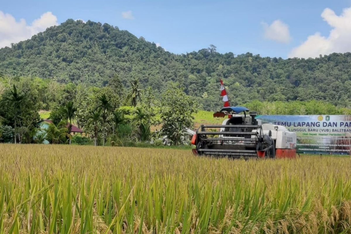 Realisasi investasi Januari-Maret 2023 di Kalimantan Barat capai Rp4,77 triliun