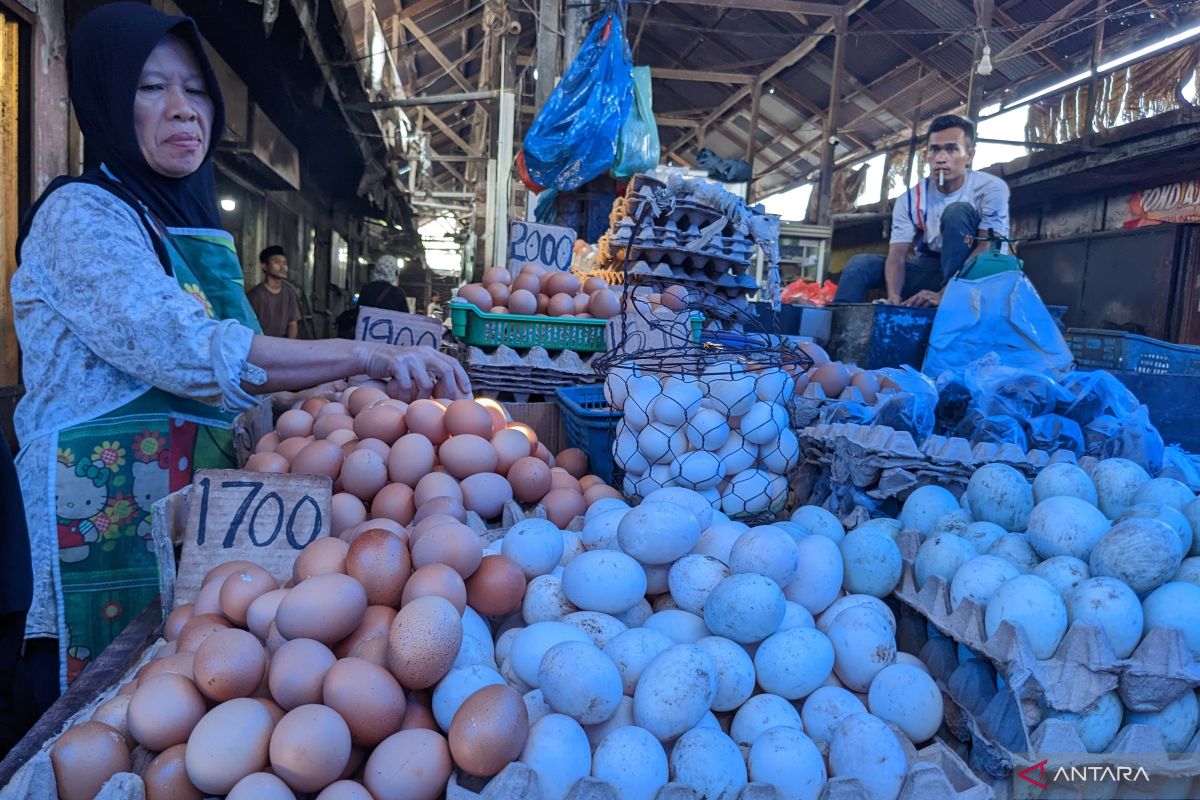 Asosiasi UMKM harap pemerintah stabilkan harga daging ayam-telur