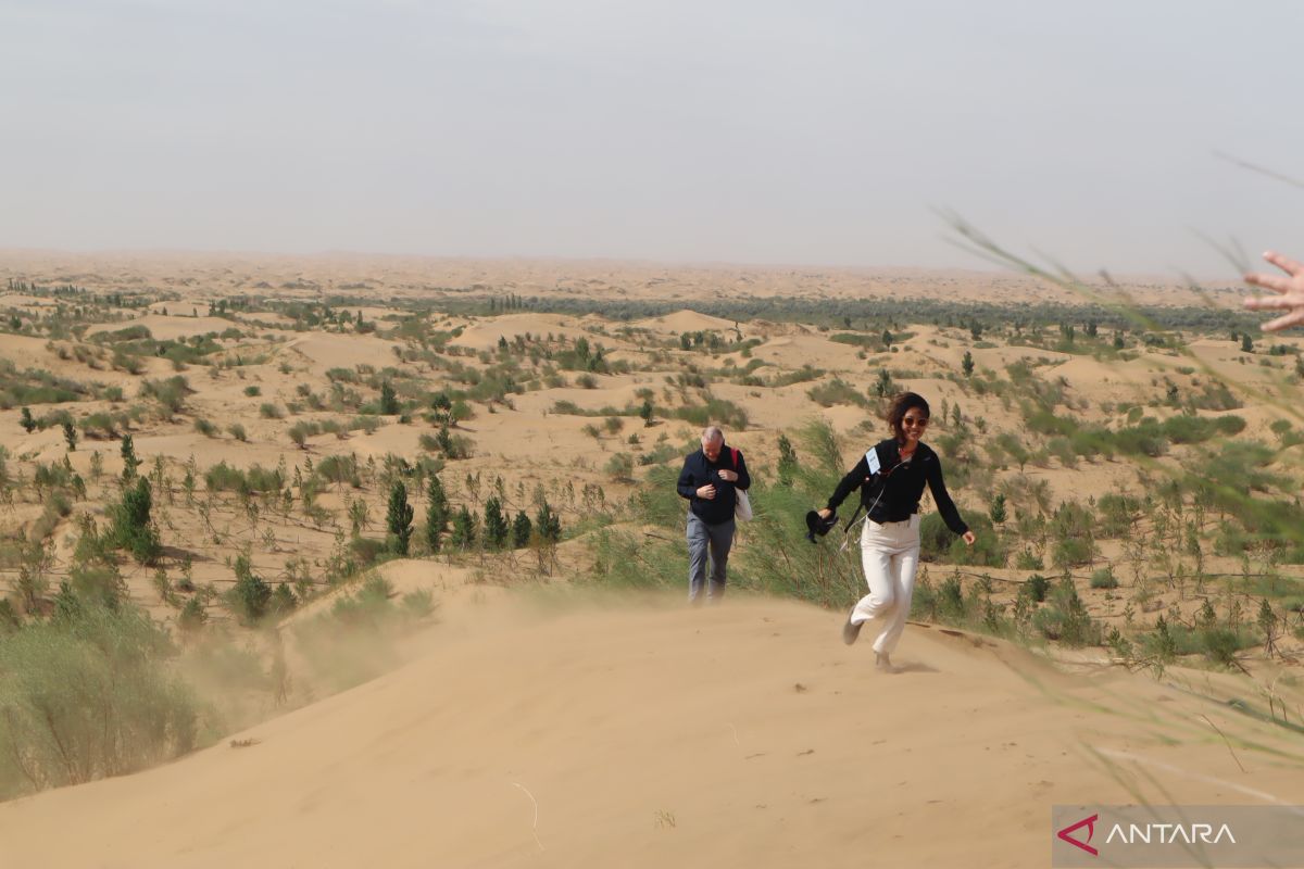 Kubuqi, keajaiban oasis di tengah padang pasir