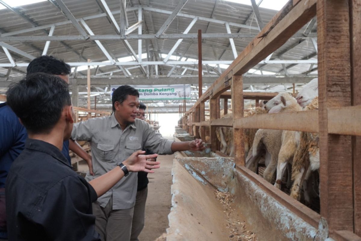 Dompet Dhuafa Jawa Tengah pastikan DD Farm siap penuhi hewan kurban jelang Idul Adha 1444 H