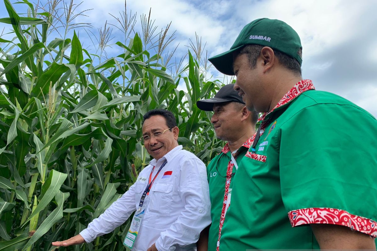 Syngenta luncurkan benih jagung bioteknologi pertama di Indonesia di Penas Tani