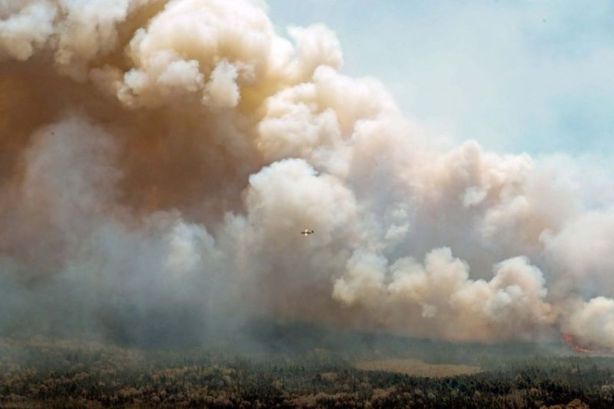 Asap kebakaran hutan di Kanada menyebar ke AS