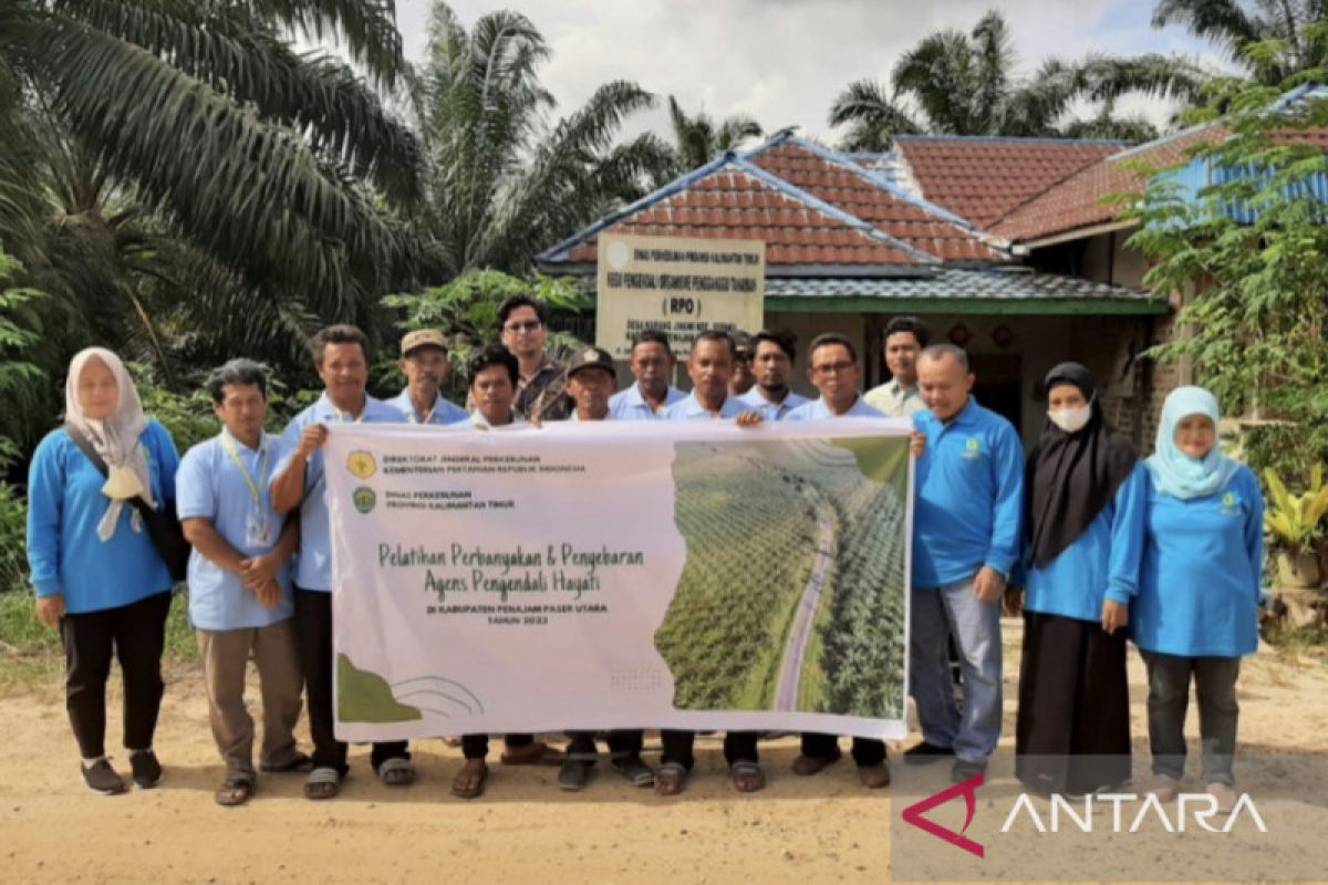 Disbun Kaltim mengajak petani hindari penggunaan  pestisida