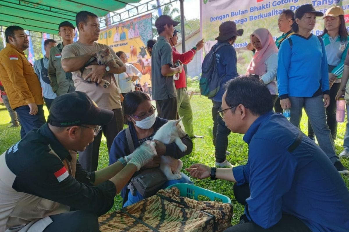 22.600 dosis vaksin rabies telah disalurkan di Kalbar