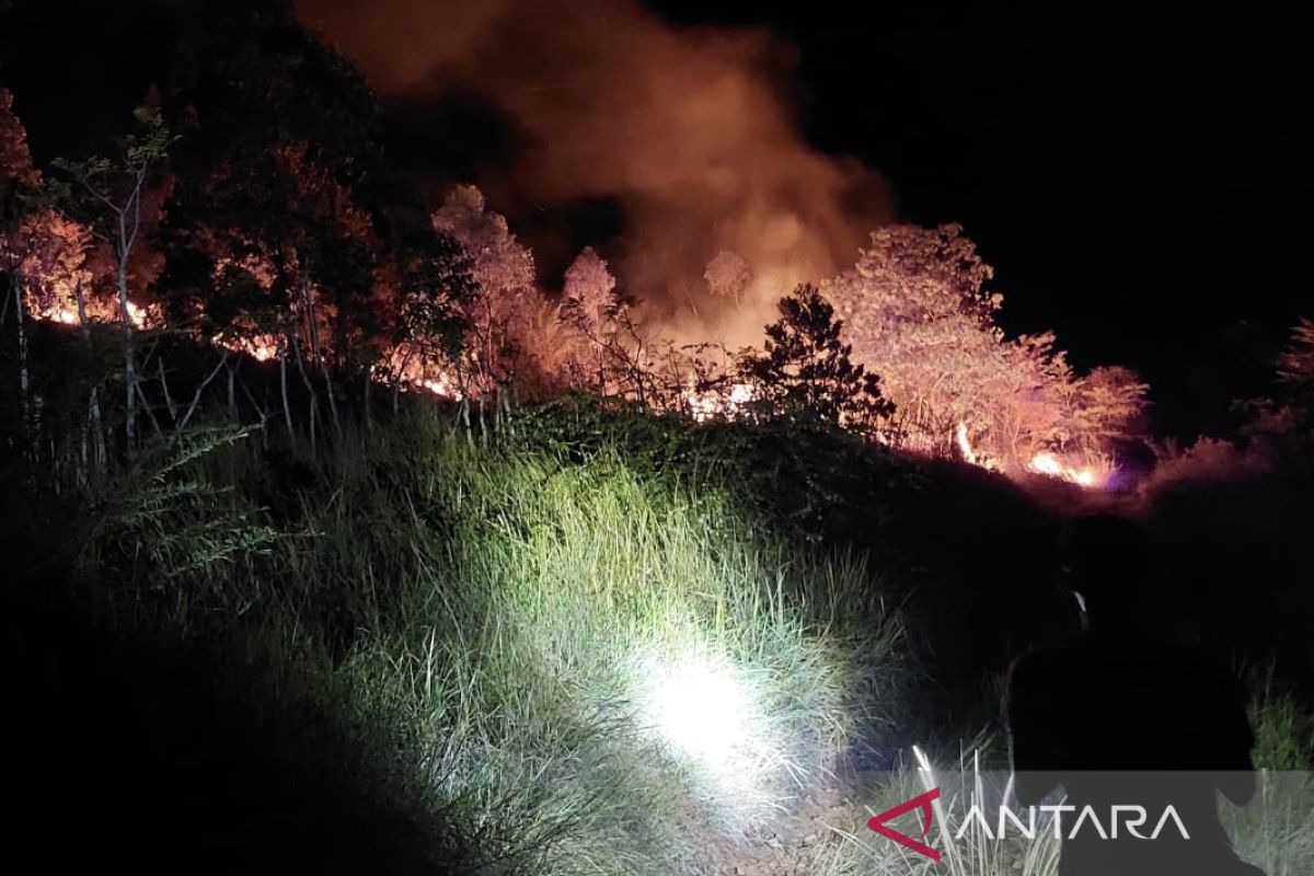 Musim kemarau mengakibatkan dua hektare lahan di Aceh Besar terbakar