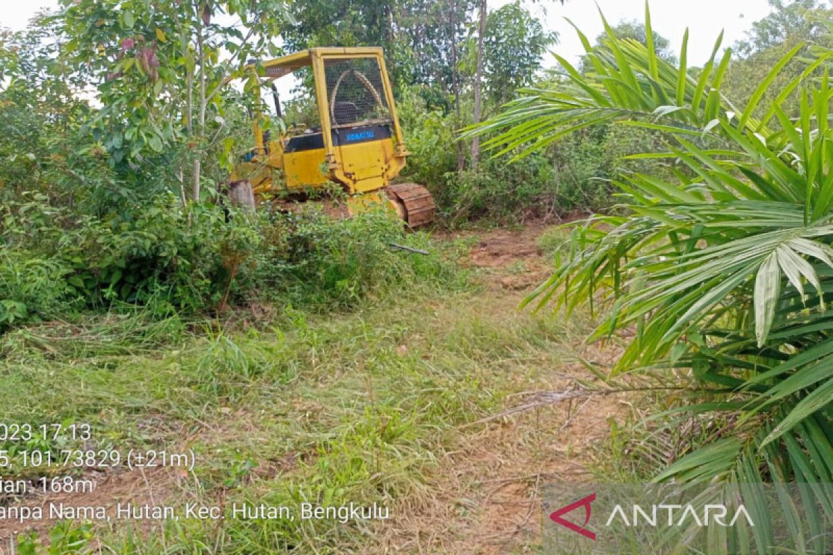 KPH Mukomuko laporkan perambahan hutan ke KLHK