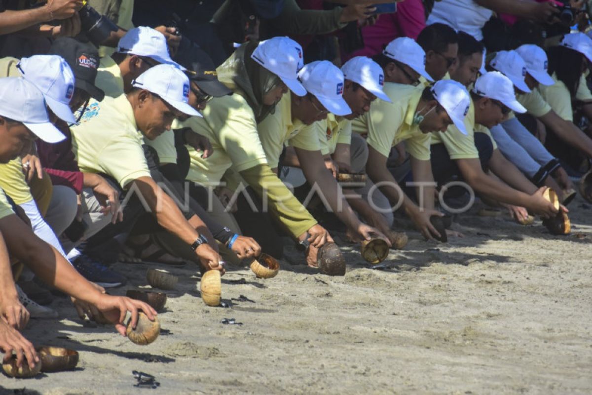 Pertamina berikan bantuan  pelestarian populasi penyu di Lombok