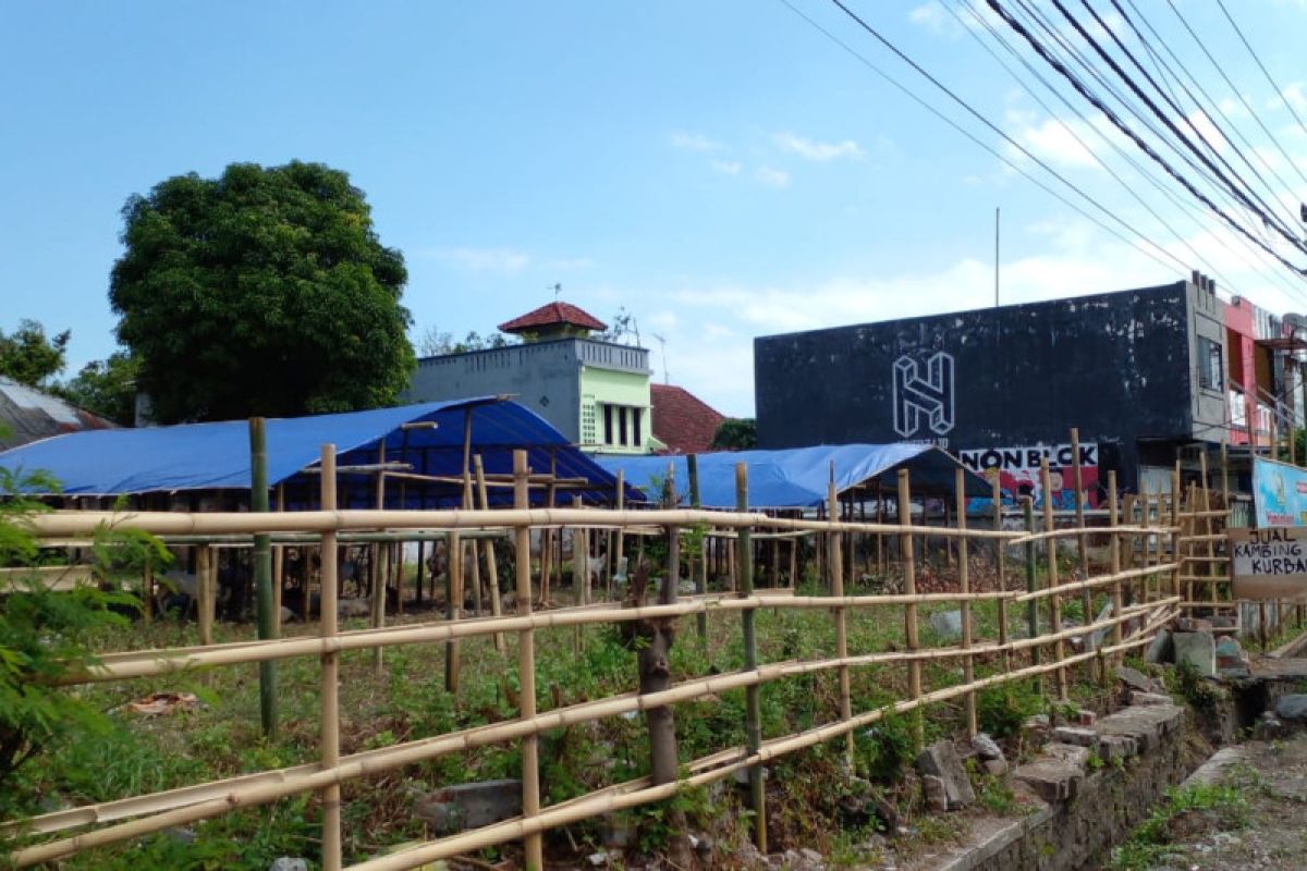 Hewan kurban di Mataram dicek mulai Selasa