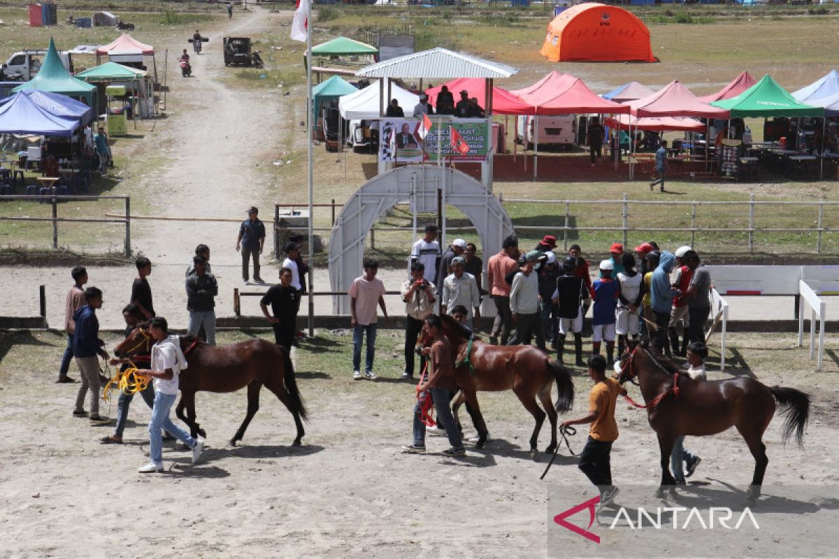150 kuda pacu ikuti kualifikasi kejurnas dan Pra PON di Takengon