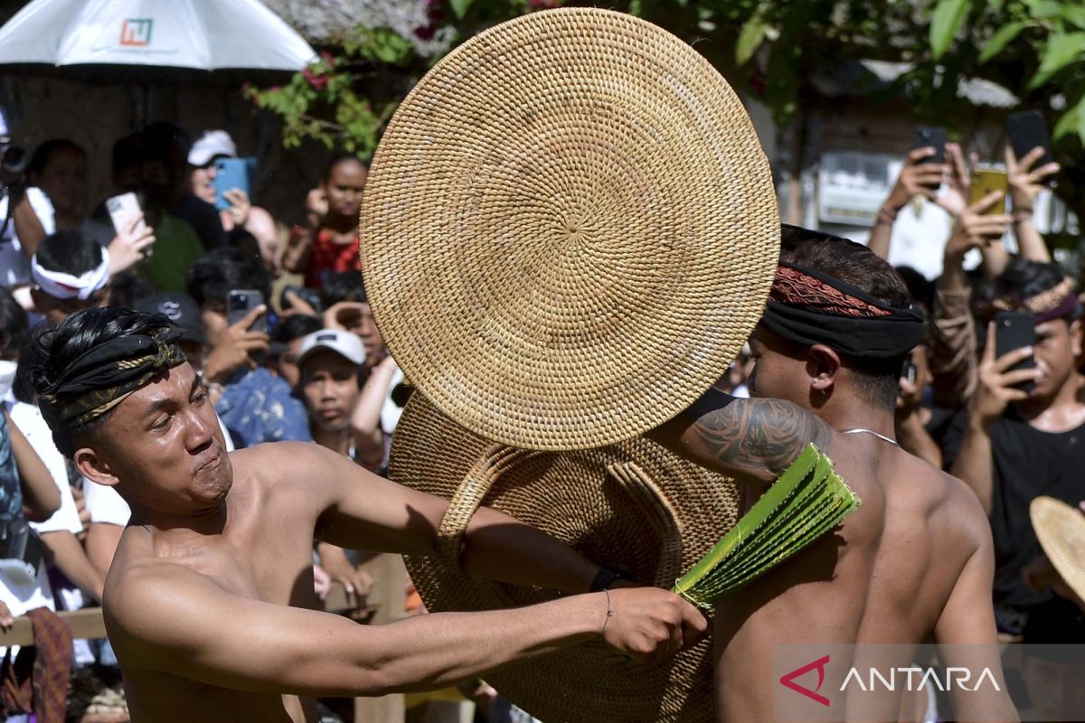 Tradisi setahunan Perang Pandan kembali digelar di Bali