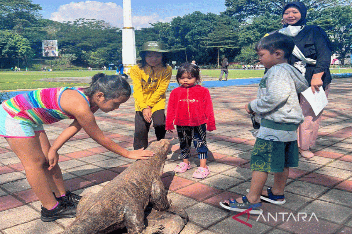 Lestarikan hewan langka, Taman Safari Bogor kenalkan Komodo ke masyarakat