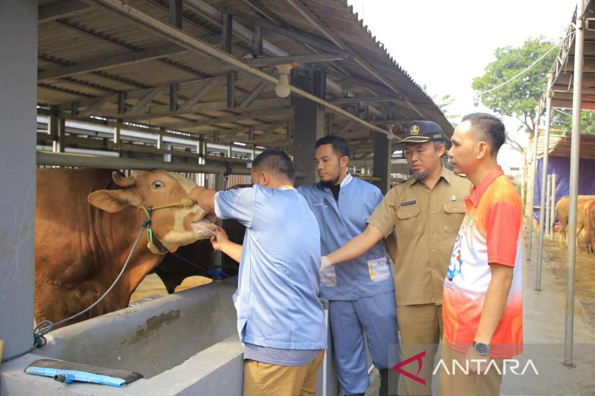 DKP Kota Tangerang  periksa kesehatan hewan kurban di 259 lapak penjualan