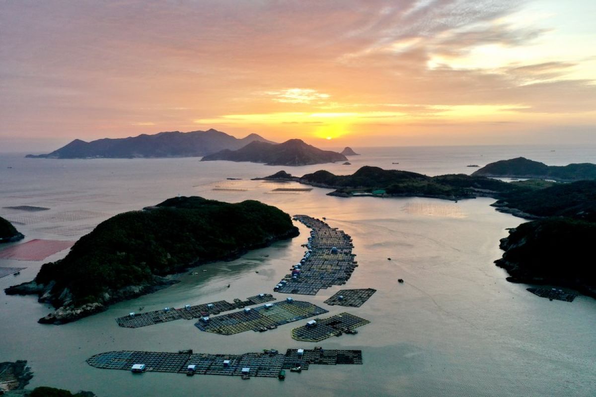 China genjot pengembangan akuakultur laut
