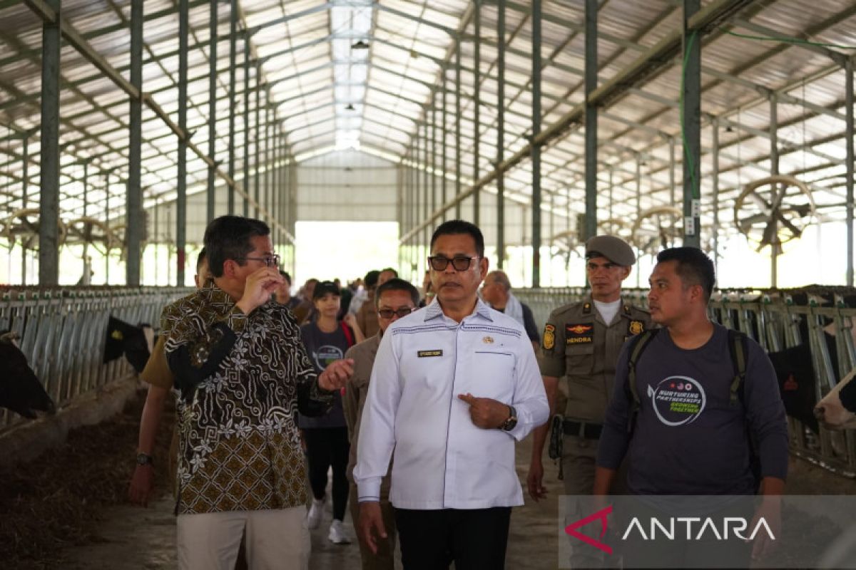 Rombongan milenial ASEAN farmer kunjungi daerah Kabupaten Solok