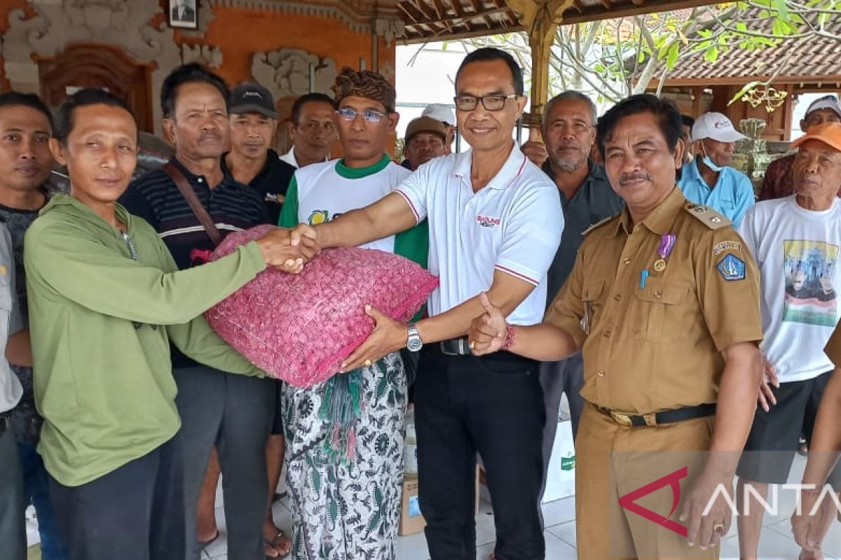 Pemkab Badung majukan pertanian bawang merah