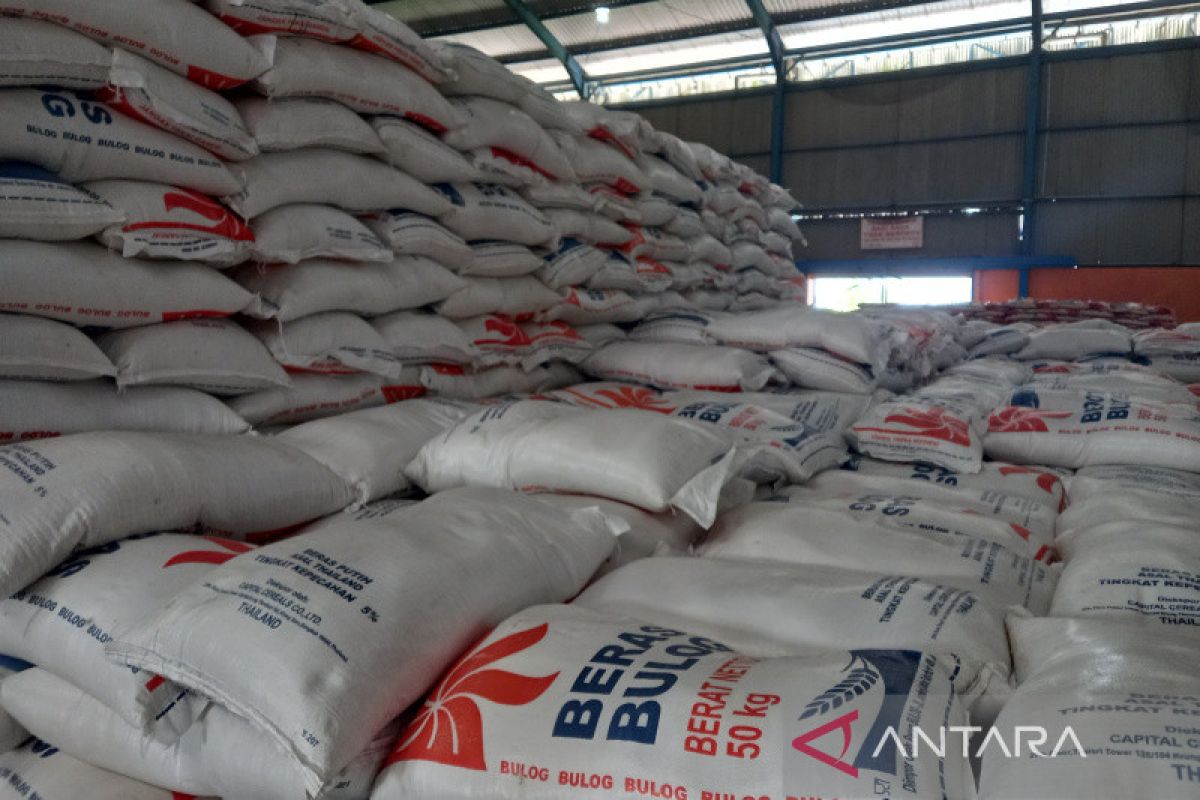 Pemprov Bengkulu pastikan ketersediaan beras cukup hingga enam bulan