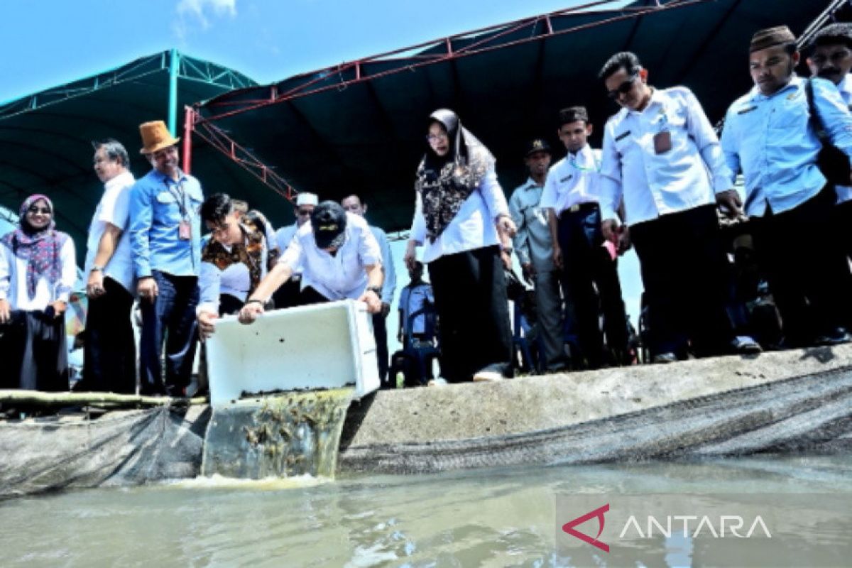 Bangka Barat sinkronkan program pembangunan melalui bina pamong