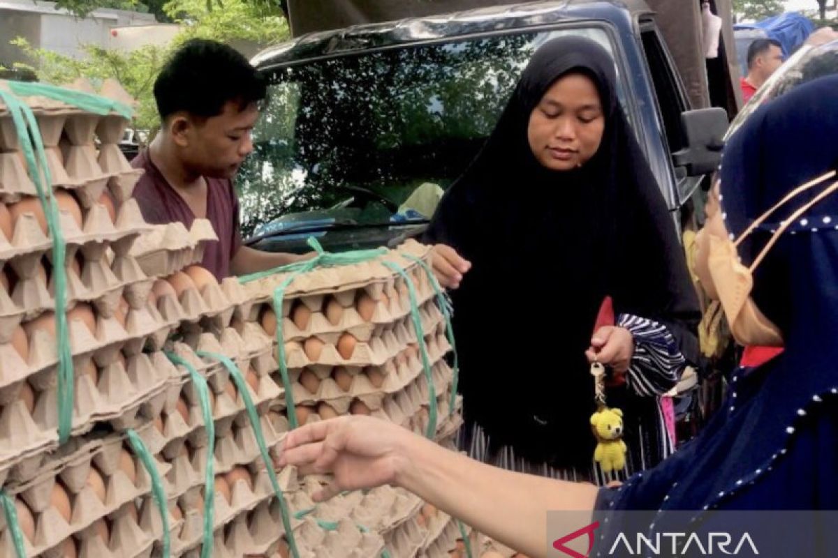 Asosiasi Distributor Batam siapkan 4 truk telur ayam pada operasi pasar
